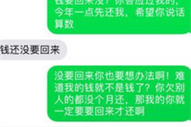 林西为什么选择专业追讨公司来处理您的债务纠纷？